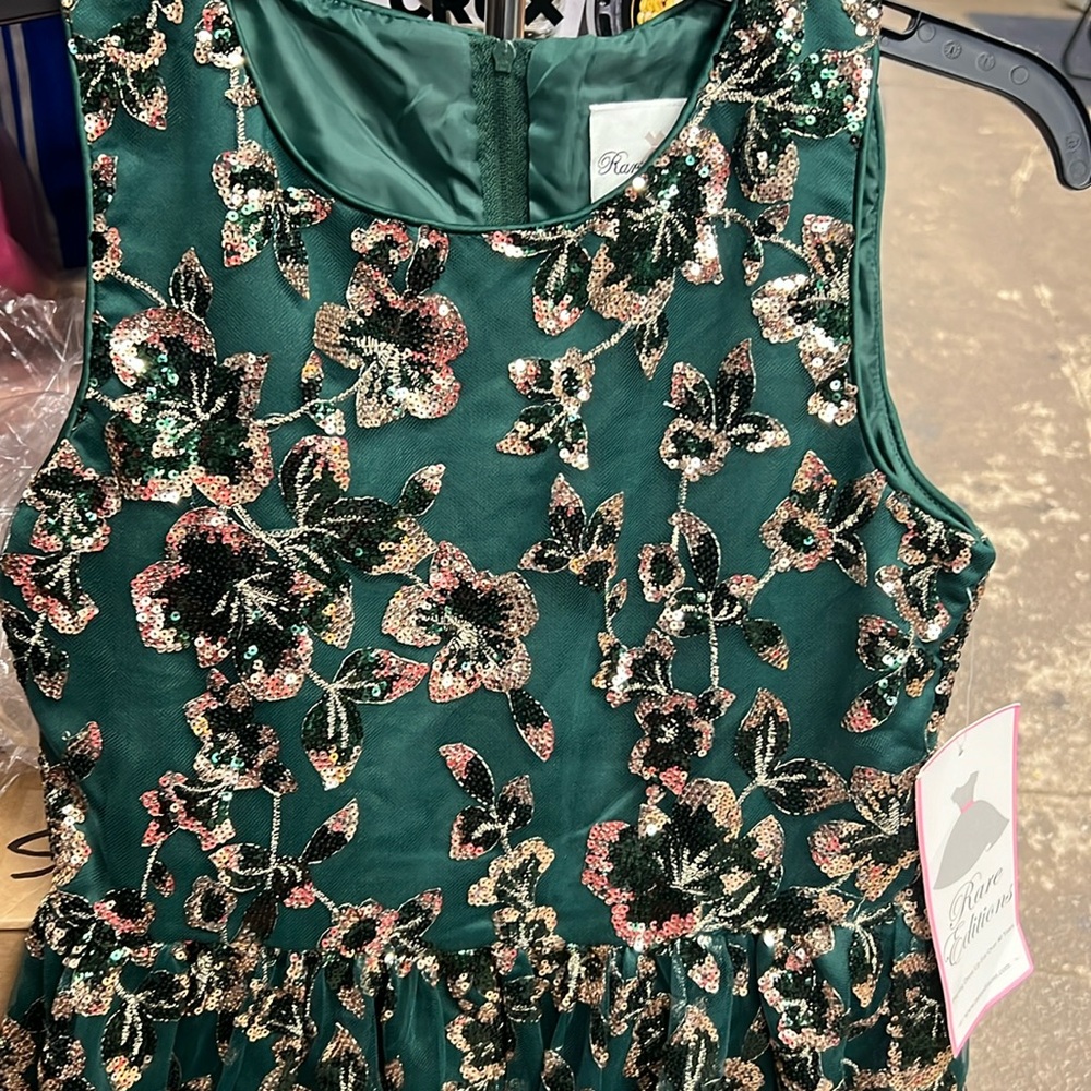 NWT RARE EDITIONS ELEGANT DRESS SIZE 14